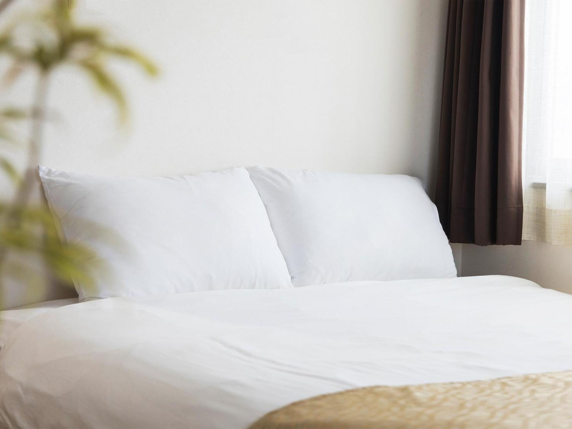 Comfort Plus شاتان المظهر الخارجي الصورة